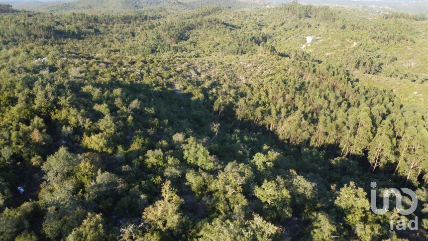 Land in Chãos of 14,600 m²