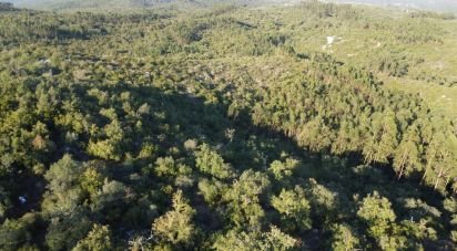 Land in Chãos of 14,600 m²