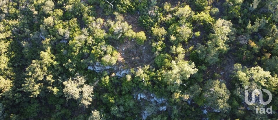 Land in Chãos of 14,600 m²