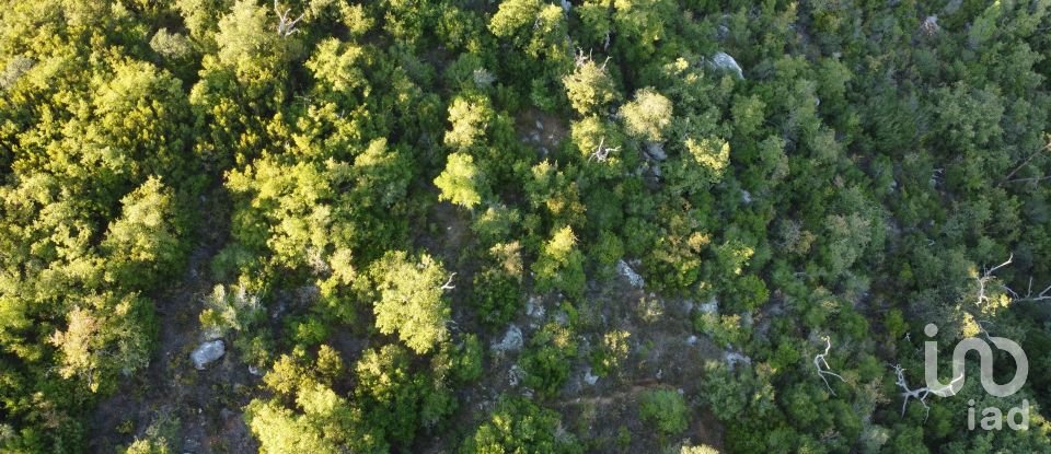 Land in Chãos of 14,600 m²