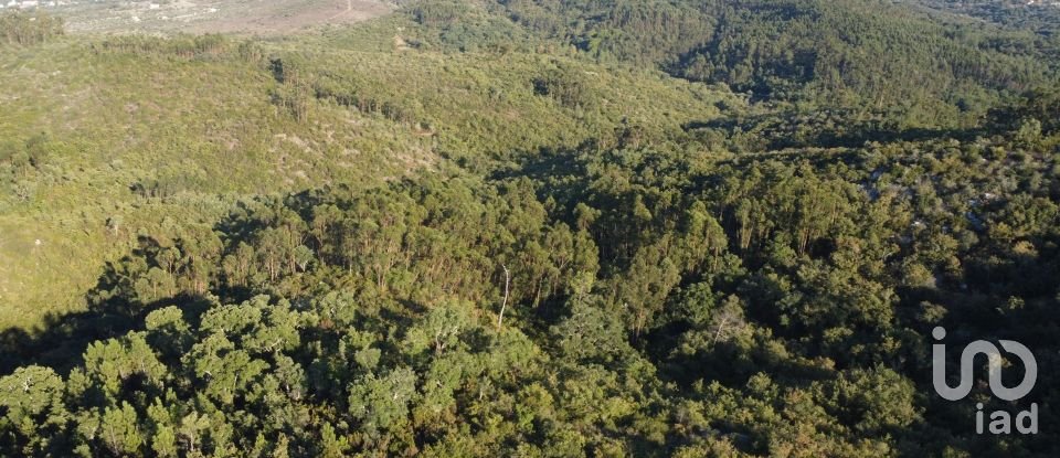 Land in Chãos of 14,600 m²