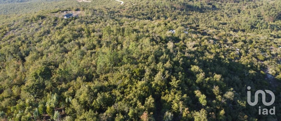 Land in Chãos of 14,600 m²