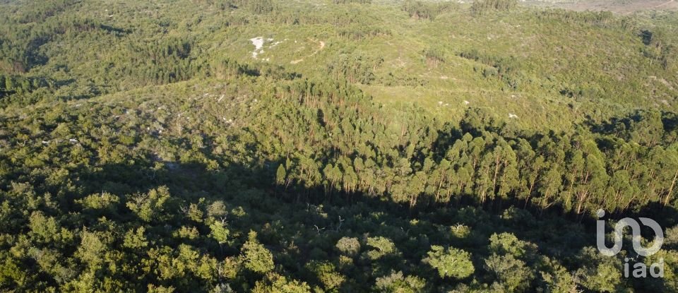 Land in Chãos of 14,600 m²