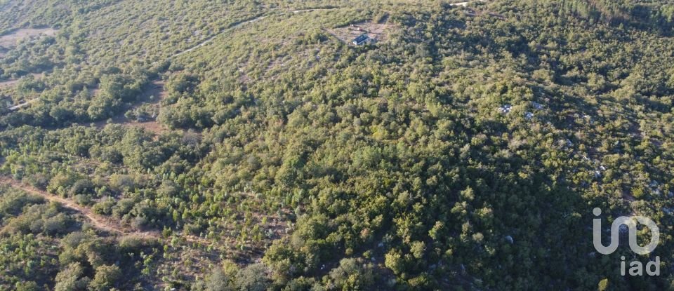 Land in Chãos of 14,600 m²