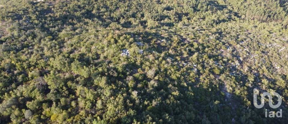 Land in Chãos of 14,600 m²