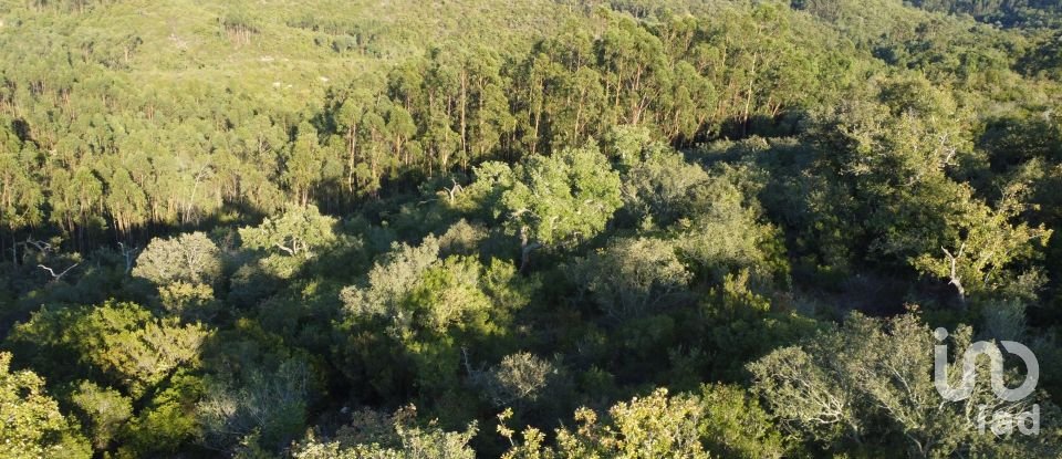 Land in Chãos of 14,600 m²