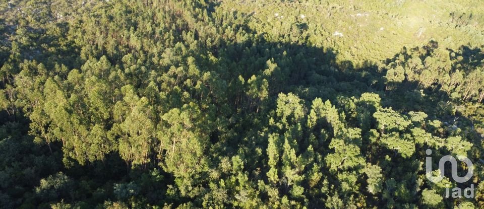 Land in Chãos of 14,600 m²