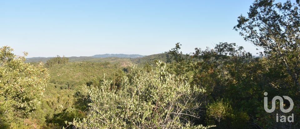 Land in Chãos of 14,600 m²