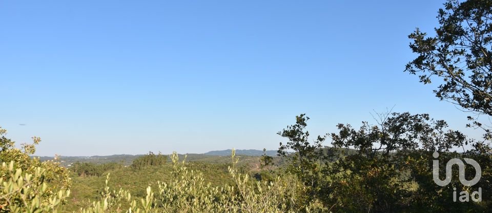 Land in Chãos of 14,600 m²