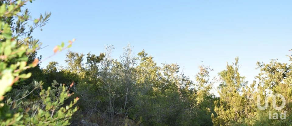 Land in Chãos of 14,600 m²