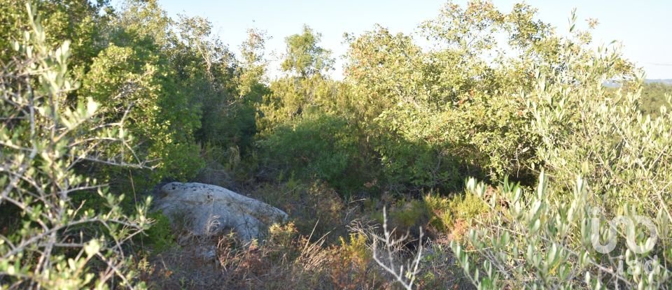 Land in Chãos of 14,600 m²