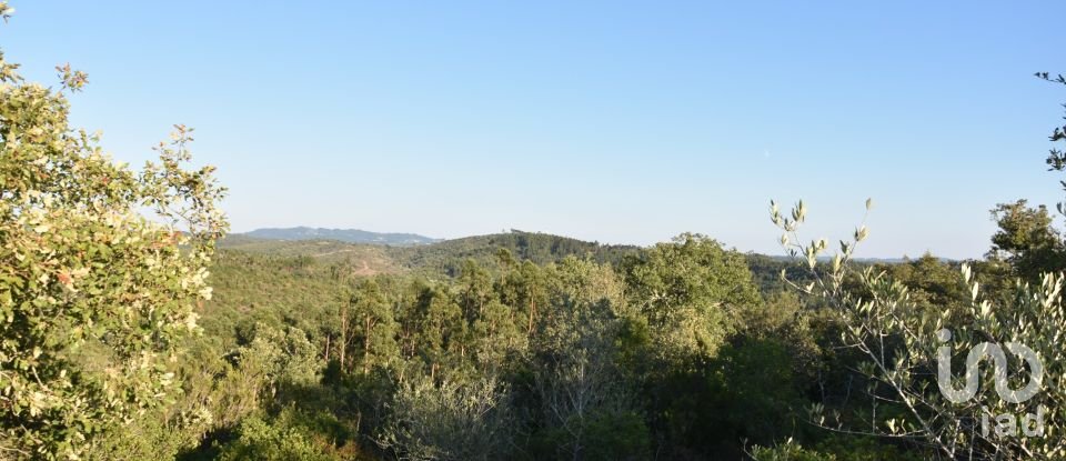 Land in Chãos of 14,600 m²