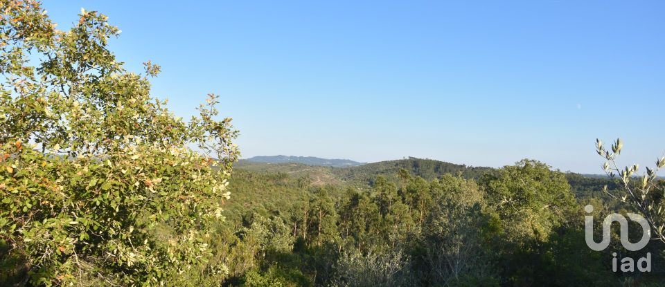 Land in Chãos of 14,600 m²