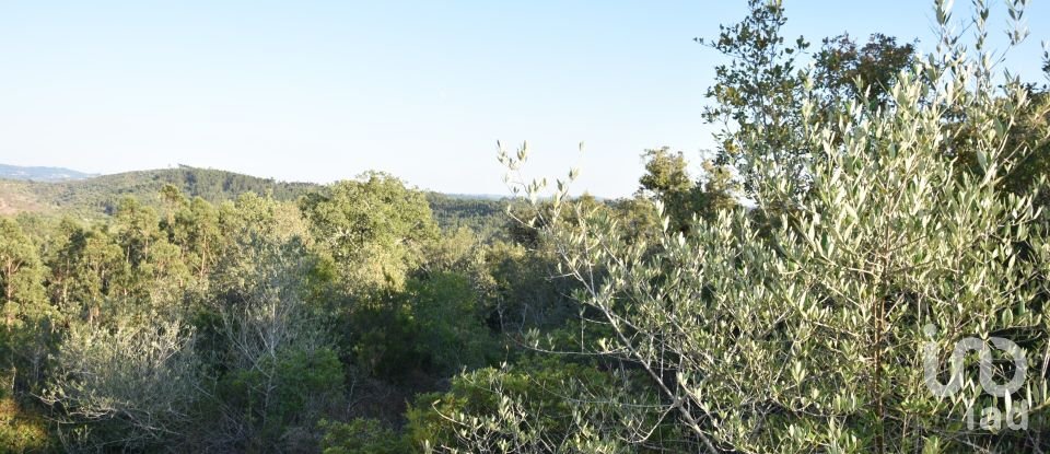 Land in Chãos of 14,600 m²