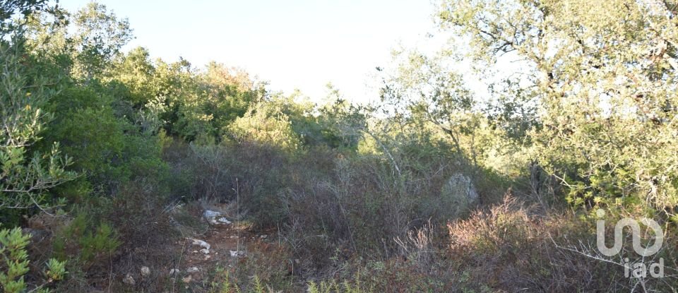 Land in Chãos of 14,600 m²