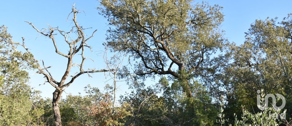 Land in Chãos of 14,600 m²