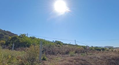 Land in Moledo e Cristelo of 820 m²