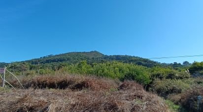 Land in Moledo e Cristelo of 820 m²