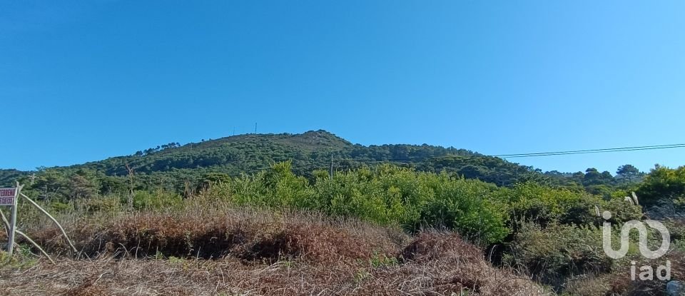 Terreno em Moledo e Cristelo de 820 m²