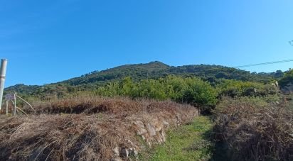 Land in Moledo e Cristelo of 820 m²