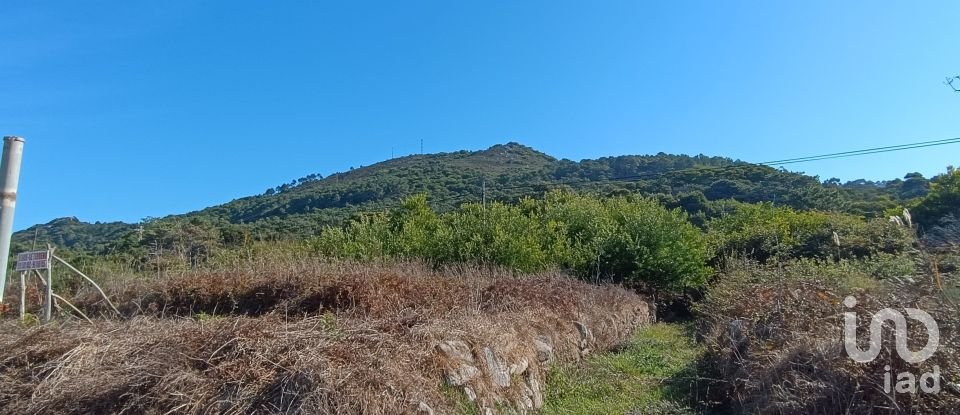 Terreno em Moledo e Cristelo de 820 m²