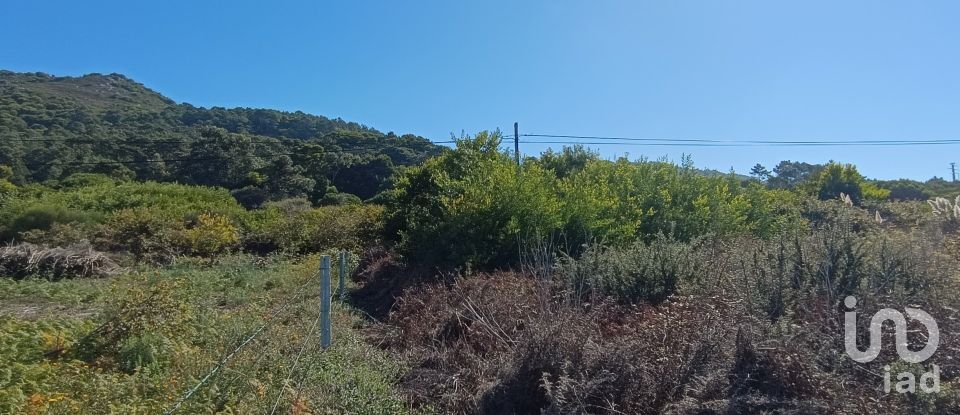 Terreno em Moledo e Cristelo de 820 m²