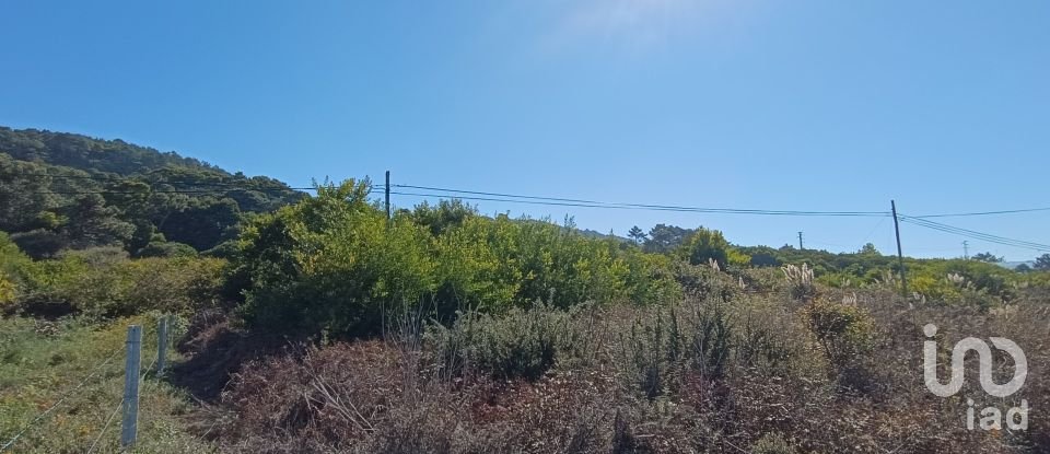 Terreno em Moledo e Cristelo de 820 m²