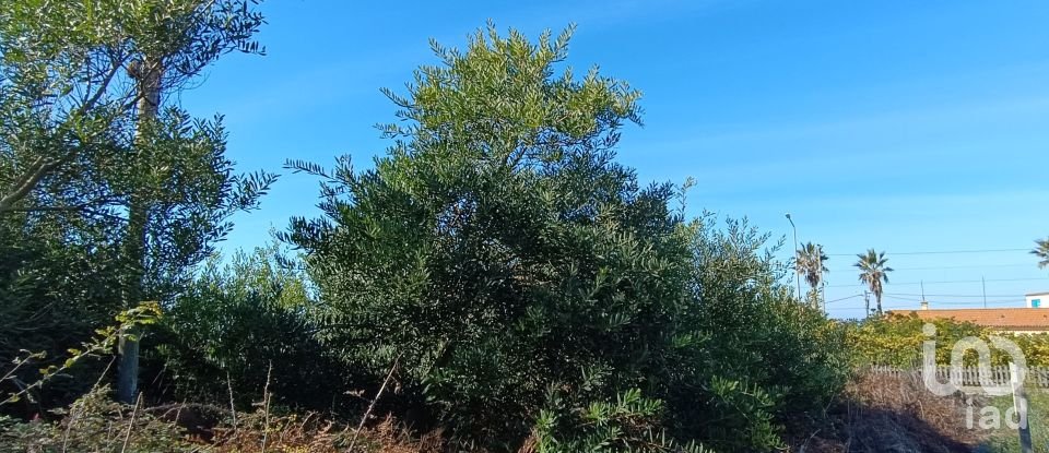 Terreno em Moledo e Cristelo de 820 m²