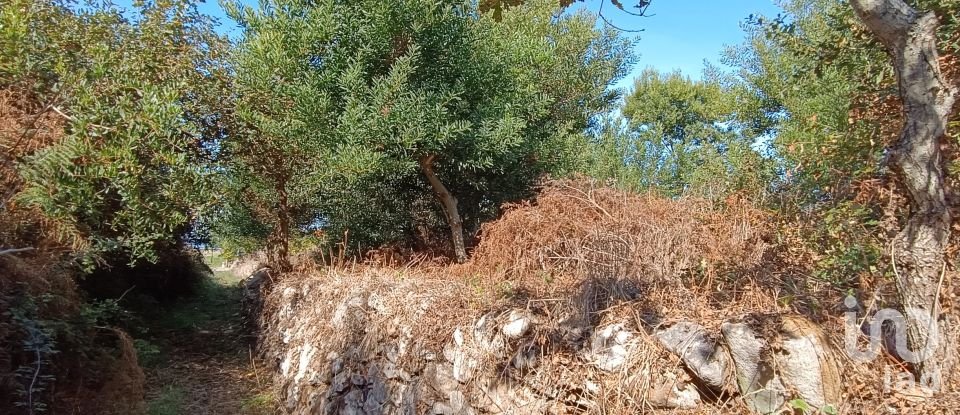 Terreno em Moledo e Cristelo de 820 m²