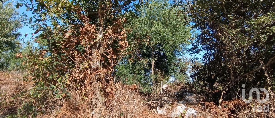 Terreno em Moledo e Cristelo de 820 m²