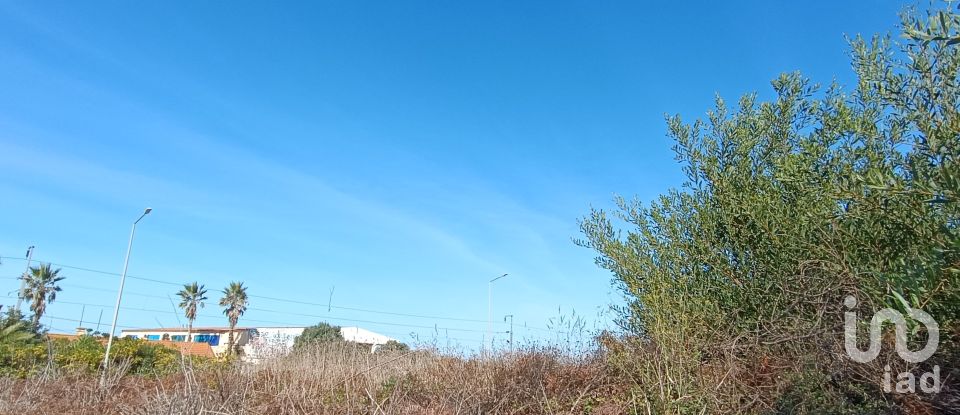 Terreno em Moledo e Cristelo de 820 m²