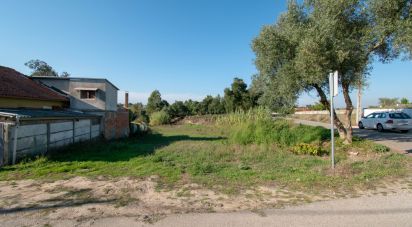 Terrain agricole à Amor de 2 038 m²