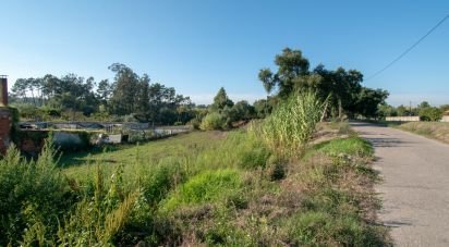 Terrain agricole à Amor de 2 038 m²