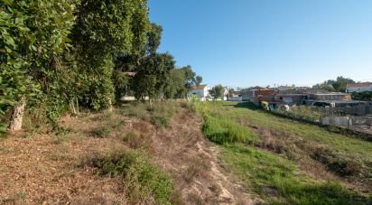 Terrain agricole à Amor de 2 038 m²