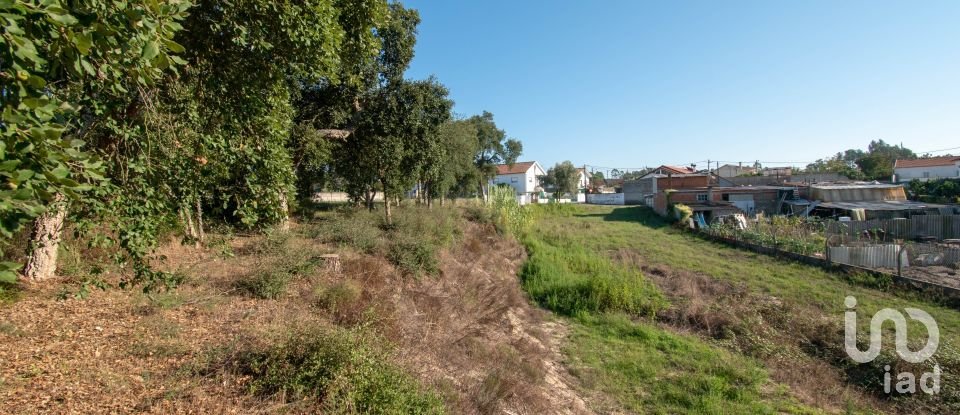 Terrain agricole à Amor de 2 038 m²