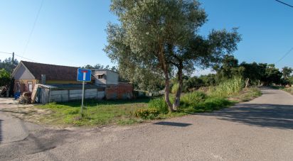 Terrain agricole à Amor de 2 038 m²
