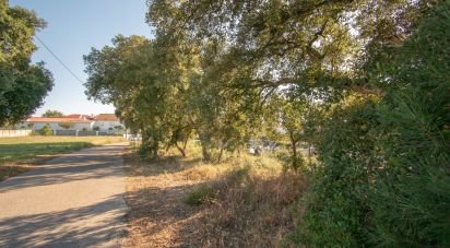 Terrain agricole à Amor de 2 038 m²