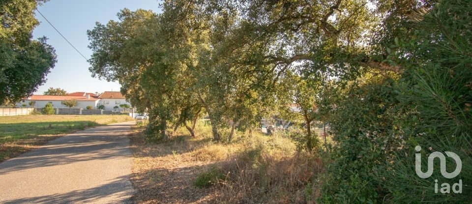 Terrain agricole à Amor de 2 038 m²