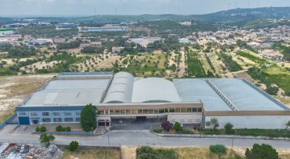 Murs commerciaux à Nossa Senhora das Misericórdias de 2 764 m²