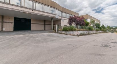 Murs commerciaux à Nossa Senhora das Misericórdias de 2 764 m²