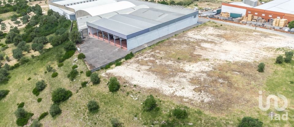 Murs commerciaux à Nossa Senhora das Misericórdias de 2 764 m²