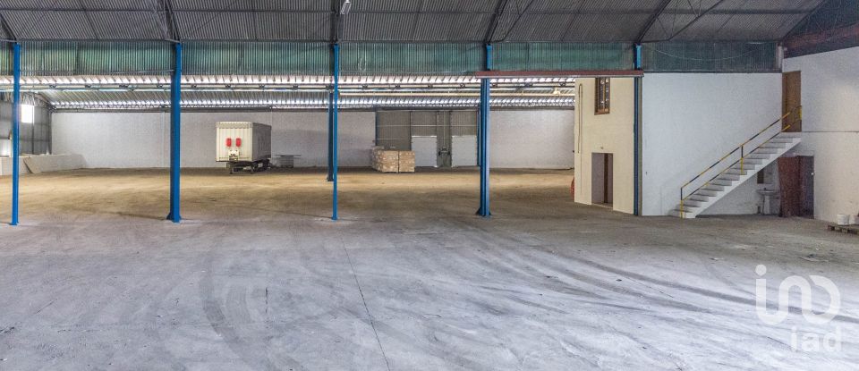 Murs commerciaux à Nossa Senhora das Misericórdias de 2 764 m²