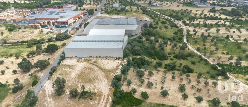 Murs commerciaux à Nossa Senhora das Misericórdias de 2 764 m²