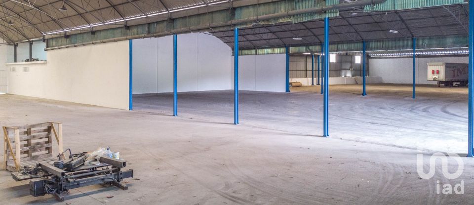 Murs commerciaux à Nossa Senhora das Misericórdias de 2 764 m²