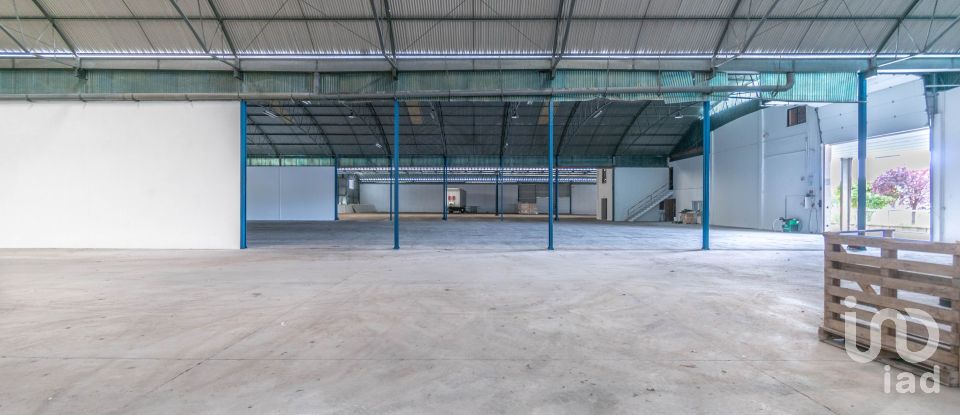 Murs commerciaux à Nossa Senhora das Misericórdias de 2 764 m²