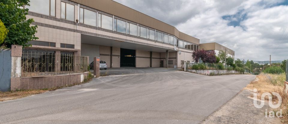 Murs commerciaux à Nossa Senhora das Misericórdias de 2 764 m²