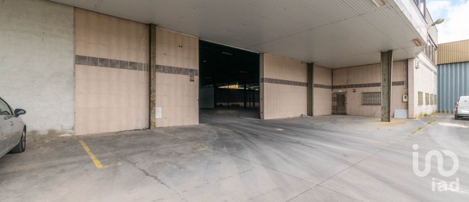 Murs commerciaux à Nossa Senhora das Misericórdias de 2 764 m²