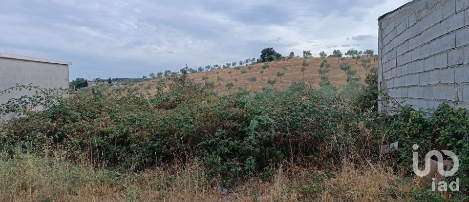 Gîte T4 à Azinhoso de 100 m²