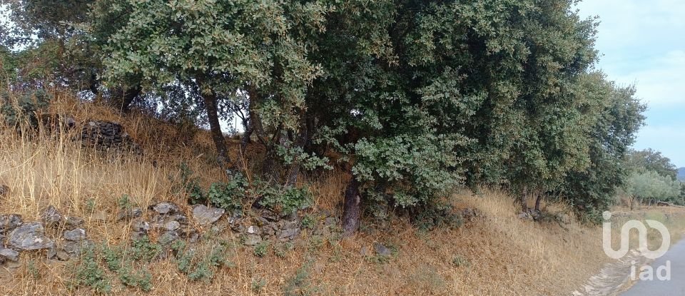 Gîte T4 à Azinhoso de 100 m²