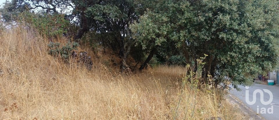 Gîte T4 à Azinhoso de 100 m²